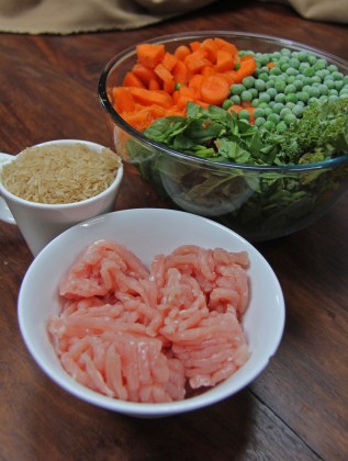 dogfood1