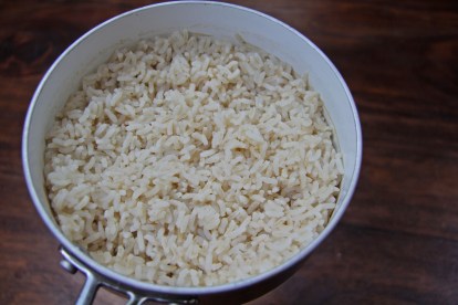 dogfood2