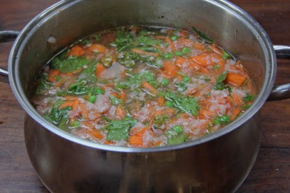 dogfood3