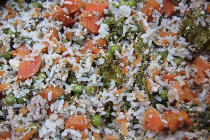 dogfood5