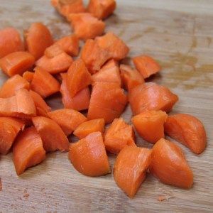 dogfood7