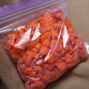 dogfood8